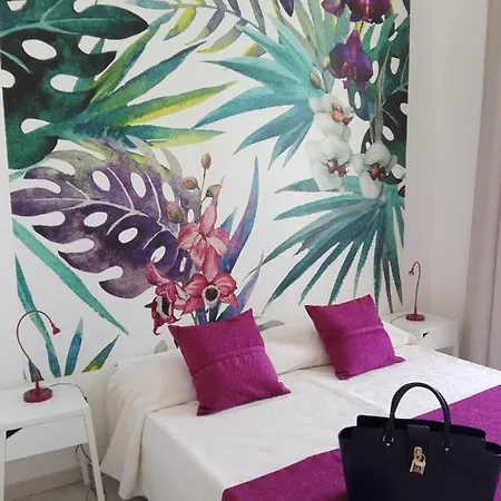 Domus Crescenzio - 4* Rome